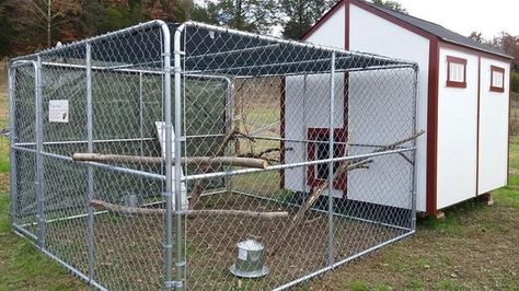 Shed Chicken Coop, Chicken Coop Diy, Diy Garden Shed, Garden Shed Kits, Cheap Chicken Coops, Urban Chicken Farming, Homemade Garden, Portable Chicken Coop, Urban Chickens