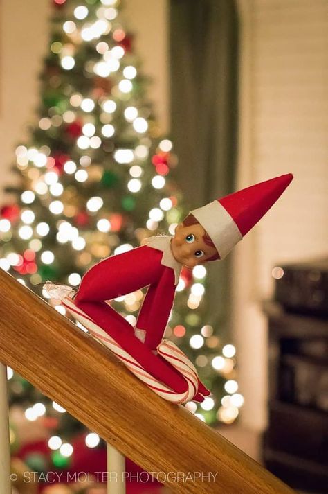 Slay the Day! Elf on the Shelf Candy Cane Sled on the Stair Banister. Take a look at our quick and easy elf idea plus more Elf on a Shelf Sleigh Ideas if you want to step up your Elf game. New Elf on the Shelf ideas daily plus free Elf on the Shelf printables. #FrugalCouponLiving #ElfontheShelf #ElfontheShelfIdeas #ElfIdeas #funnyelfideas #funnyelfontheshelf #elfprintables #freeelfprintables #printables #freeprintables #ElfonaShelf #candycane Elf Printables, Elf Games, Shelf Elf, Elf Kit, Awesome Elf On The Shelf Ideas, Elf Activities, Xmas Elf, Days Till Christmas, Santa's Little Helper