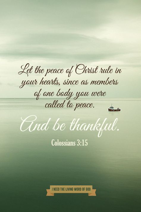 Colossians 3:15 Let the peace of Christ rule in your hearts, since as members of one body you were called to peace. And be thankful. Colossians 3 15, Peace Scripture, Good Morning Inspiration, Colossians 3, Bible Promises, In Christ Alone, Morning Inspiration, Fear Of The Lord, Bible Verses Quotes Inspirational