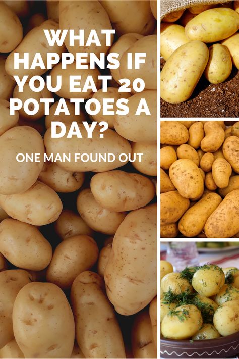 Chris Voigt is the executive director of the Washington State Potato Commission. In an effort to educate the public about the nutritional value of potatoes, he ate 20 potatoes a day, for 60 days straight. That’s right, his diet consisted of only potatoes and nothing else. No toppings, no chili, no sour cream, no cheese, no gravy – just potatoes and maybe some seasonings or herbs and a little oil for some of the cooking. Here's how it turned out. #foodscience Potato Diet Plan, Potato Reset, Broccoli Mum, Starch Solution Recipes, Potato Diet, Mcdougall Recipes, Benefits Of Potatoes, Banana Diet, Canned Potatoes