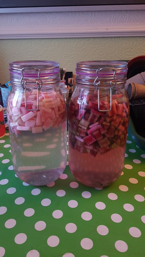 Rhubarb Gin Recipe, Rhubarb Gin And Tonic, Infused Alcohol Recipes, Infused Alcohol, Gin Making, Rhubarb Gin, Infused Gin, Coctails Recipes, Liquor Recipes