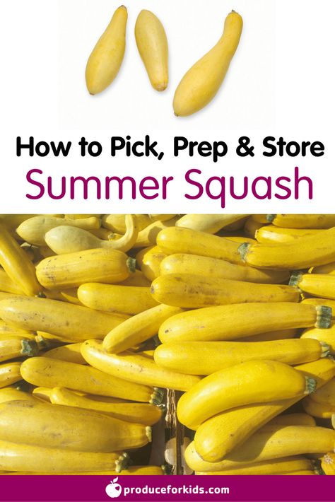 How To Store Squash, How To Store Yellow Squash, How To Freeze Squash, Storing Squash, Misfit Market, Storing Veggies, Freezing Squash, Gardening Therapy, Clean Eating Meal Prep