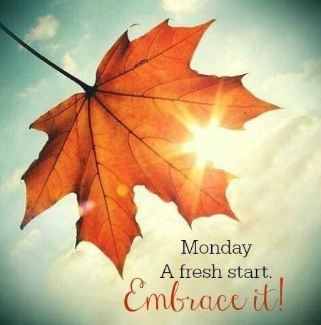 Happy Monday! Enjoy the beautiful day and make it a great week! 🌞 Hate Mondays Funny, Monday Inspirational Quotes, Good Monday Morning, Beautiful Monday, Good Morning Happy Monday, Thrive Life, Happy Weekend Quotes, Hate Mondays, Monday Inspiration