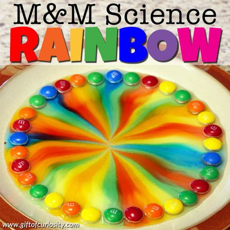 Looking for a science activity that will mesmerize kids (and grownups!) of all ages? This M&M science rainbow is just the activity you need! Rainbow Art For Kids, Preschool Science Experiments, Rainbow Science, Candy Science, Steam Activity, Rainbow Activities, Preschool Science Activities, Science Experiments For Preschoolers, Aktiviti Kanak-kanak