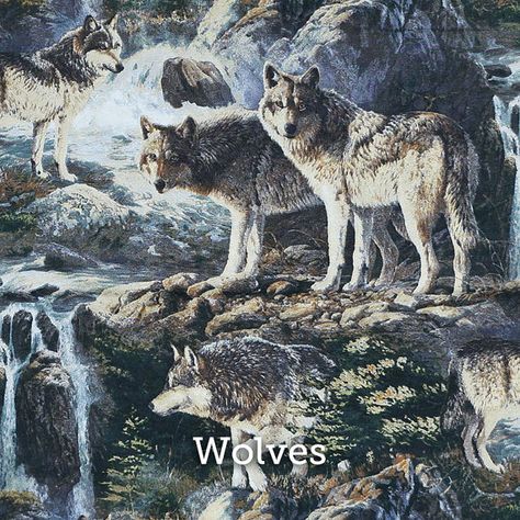 Wolves Print 20x20" Pillow Case - by SelemeHealth Couple In Sunset, Wolf Couple, Sunset Tapestry, Fairy Glen, Pure Country, Modern Blankets, Plush Coat, Tapestry Blanket, Tapestry Throw