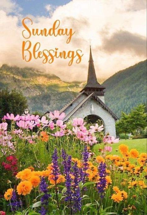 10 Blessed Sunday Quotes To Keep Blessings In Your Life Sunday Spiritual Blessings, Sunday Blessings Inspiration Life, Sunday Blessings Inspiration Faith, Sunday Blessings Mornings, Good Sunday Morning Blessings, Sunday Blessings Inspiration, Sunday Morning Blessings, Sunday Quotes Inspirational, Sunday Blessings Quotes