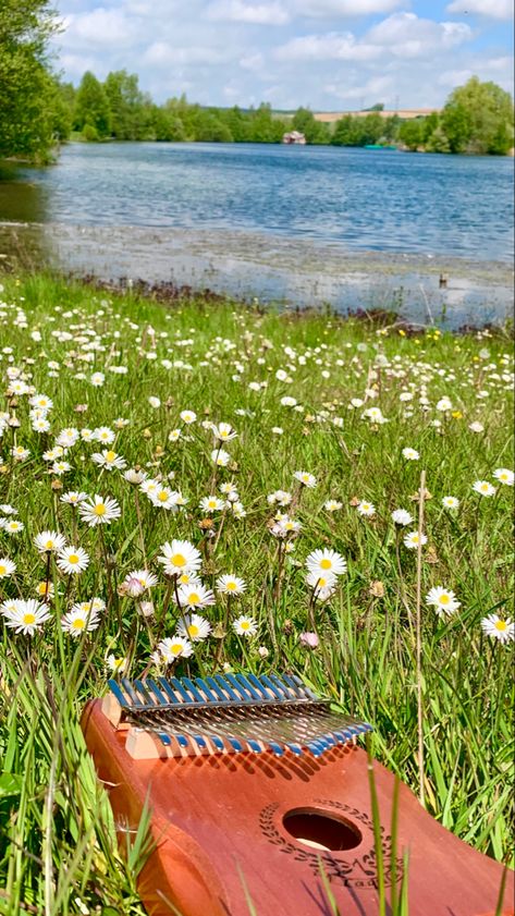 Kalimba en plein milieu d’herbe abec de petites fleurs au bord d’un lac Kalimba Aesthetic, Music In Nature, Liquid Architecture, Vision Board Party, 21st Party, Victorian Aesthetic, Guitar Pics, Nature Music, Vision Board Manifestation