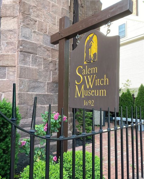 Salem Witch Museum on Instagram: “Caught a peek at our roses this week! With our staff out of the building, we missed our roses in full bloom this year... but at least we…” Salem Witch Museum, Witch Museum, Salem Witch, In Full Bloom, The Building, Chalkboard Quote Art, This Year, Witch, Roses