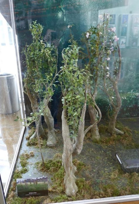 Annihilation plant people props Plant Person, Tree Man, Film Costumes, Plant People, Growth And Decay, Gina Rodriguez, Cosmic Horror, Earth Art, Environment Concept Art