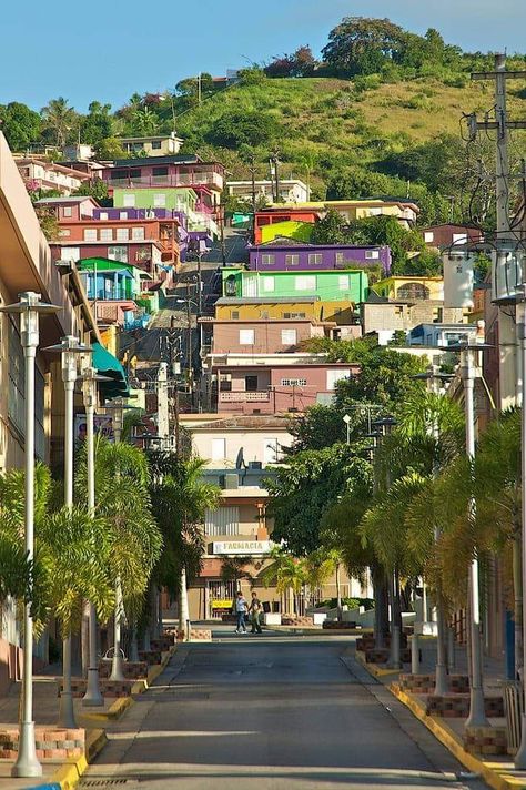 Puerto Rico Pictures, Tropical Island, Tropical Islands, Cemetery, Puerto Rico, Sweet Home, Street View, Travel