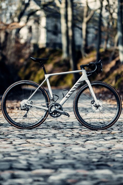 Road Bikes, Trek Bikes Road, Canyon Bike, Road Bicycle Bikes, Bike Swag, Endurance Road Bike, Titanium Road Bike, Single Speed Bike, Gravel Road