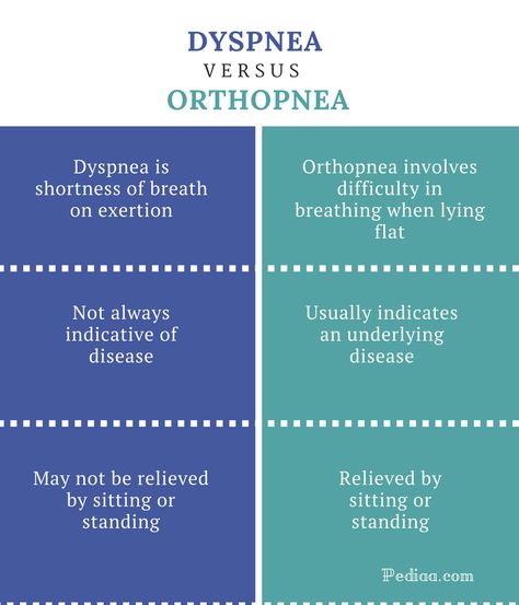 Difference Between Dyspnea and Orthopnea - Dyspnea vs Orthopnea Comparison Summary Lpn School, Nursing Tools, Emt Study, Paramedic Student, Nursing Cheat, Nursing Information, Pharmacology Nursing, Medical Laboratory Science, Chronic Obstructive Pulmonary Disease