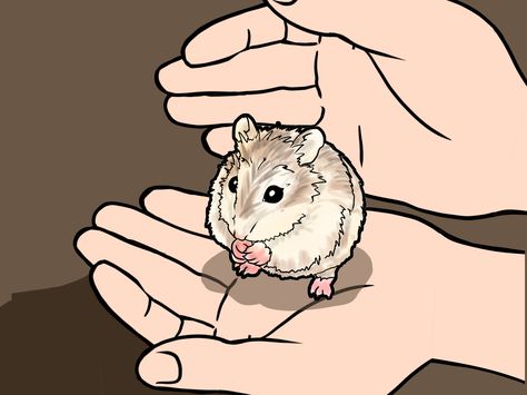 Robo Hamster, Roborovski Hamster, Bear Hamster, Classroom Pets, Hamster Diy, Hamster Names, Hamster Care, Otters Cute, Baby Hamster