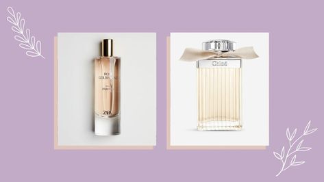 Chloe Signature Perfume, Deco Ramadan, Zara Fragrance, Signature Perfume, Chloe Perfume, Designer Fragrance, Rose Perfume, Catwalk Fashion, Best Perfume