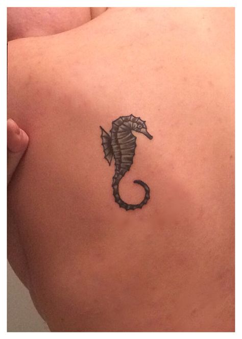 Tattoo Seahorse, Tattoo Ankle, Think Tattoo, Seahorse Tattoo, Tattoos For Girls, Cool Tattoo, Small Hand Tattoos, Butterfly Tattoo Designs