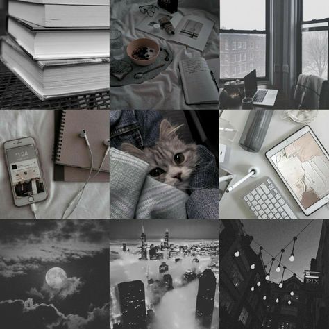 Gray Moodboard Aesthetic, Aesthetic Character Moodboard, Cat Moodboard Aesthetic, School Moodboard Aesthetic, Mood Boards Character Design, Grey Mood Board Aesthetic, Moodboards For Characters, Moodboards For Ocs, Grey Moodboard Aesthetic