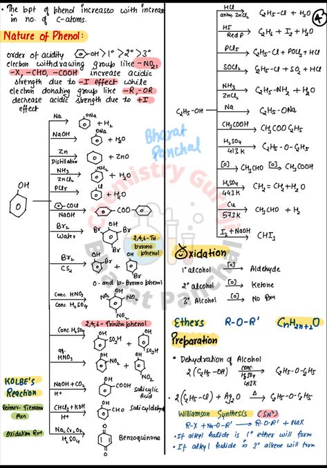 Alcohol Phenol Ether Short Notes, Name Reactions Organic Chemistry Class 12, Alcohol Phenol Ether Mind Map, Alcohol Phenol Ether Notes, Organic Chemistry Cheat Sheet Class 12, Organic Chemistry Notes Class 12, Haloalkanes And Haloarenes Notes, Organic Chemistry Cheat Sheet, General Organic Chemistry