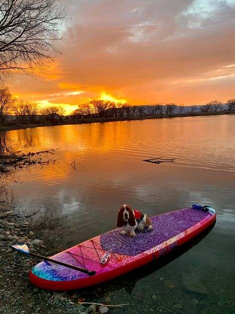 sup board Paddle Board Aesthetic, Heavenly Paintings, Blow Up Paddle Board, Paddle Board Surfing, Stand Up Paddle Boarding, Sup Stand Up Paddle, Sup Board, Sweet Water, Boat Safety