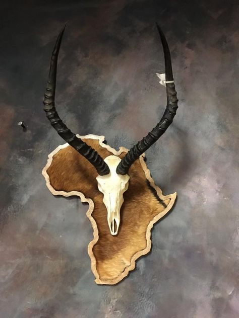 Animal Hide Decor, Africa Hunting, Deer Hunting Decor, Deer Head Decor, Deer Heads Mount, Deer Antler Decor, European Mount, African Antelope, Hair Feathers