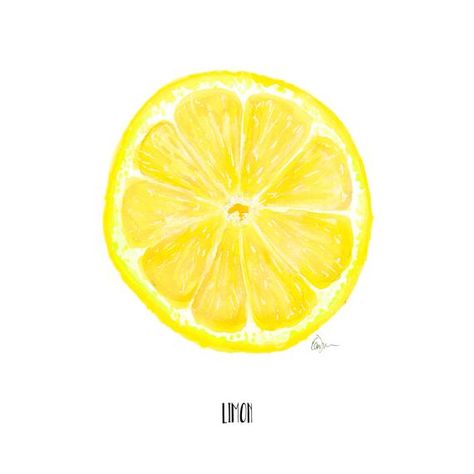 Delight yourself in a deliciously Fresh Watercolor Illustration of a Lemon. What better to inspire healthy eating habits than this mouthwatering little piece of heaven hanging in your kitchen. This is a print of a fashion illustration I did. Originally done with Winsor & Newton Lemon Watercolor, Kitchen Decor Wall, Winsor And Newton Watercolor, Fruit Wall Art, Art Fruit, Kitchen Decor Wall Art, Lemon Slice, Art Food, Food Illustration