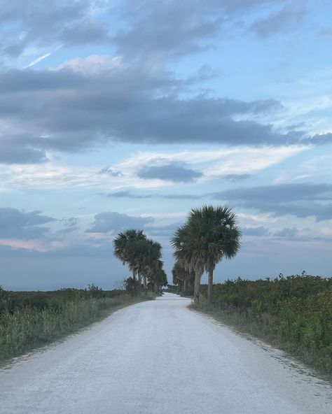 florida🐊🐬🐚 Rural Florida, Florida Gothic, Road Trip Books, Florida Cracker, Cracker House, Dunedin Florida, Northern Florida, Florida Travel Guide, Sleeve Ideas