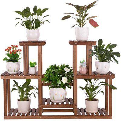 Plants Rack Outdoor, Bamboo Pot, Plant Stand Wood, Indoor Bamboo, Bamboo Plant Stand, Bamboo Outdoor, Bamboo In Pots, Support Pour Plante, Plant Stands Outdoor