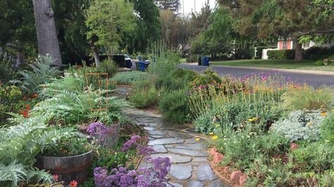 Lawn Free Yard, Concrete Fountains, Wallpaper Garden, Garden Nails, Bermuda Grass, Lawn Alternatives, Drought Tolerant Garden, Drought Tolerant Landscape, Aesthetic Garden