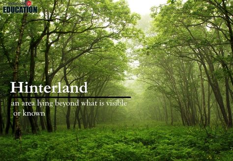 Cool German Words, Words English, Beautiful Words In English, Nature Words, Unique Words Definitions, Uncommon Words, Most Beautiful Words, Travel Words, Fancy Words