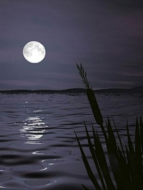 Reflection of the moon in water Beautiful Nature Night, Moon Over Water, Moonlight Reflection, Magic In The Moonlight, Moon Silhouette, Moonlight Sonata, Mystic Moon, Moon Photos, Night Scenery