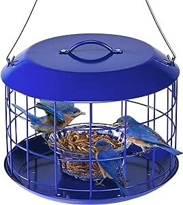 Caged Bird Feeders, Suet Bird Feeder, Bird Facts, Blue Patio, Wild Bird Feeders, Feeding Station, How To Attract Birds, Bird Food, Outdoor Decor Backyard