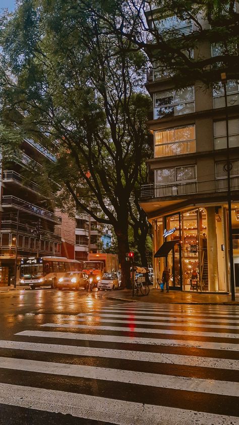 #rain #city #capital #aesthetic #warm #Argentina #lluvia #calle #café #coffe Argentina Travel Aesthetic, Ciudad Aesthetic, Buenos Aires Argentina Aesthetic, Buenos Aires Aesthetic, Buenos Aires Travel, City Rain, Argentina Travel, Urban Life, City Aesthetic