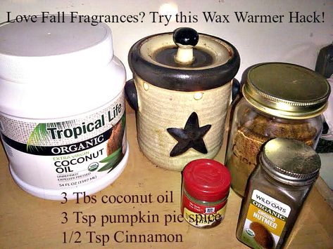 Why This Wax Warmer Hack Doesn't Work Coconut Oil In Wax Warmer, Natural Wax Warmer Recipes, Coconut Oil Wax Warmer Recipes, Wax Warmer Hacks House Smells, Wax Warmer Hacks, Wax Warmer Diy, Homemade Fragrance, Coconut Photo, Plug In Wax Warmer