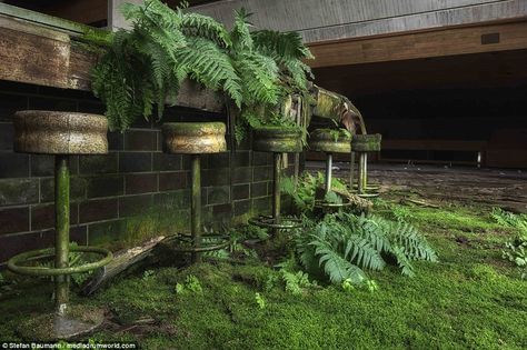 Bright green moss lies across the floor of this bar while stools and the wooden bench itself are home to ferns Soft Apocalypse, Nature Reclaiming, Reclaimed By Nature, Lots Of Plants, Apocalypse Aesthetic, Bg Design, Europe Photos, Arte Cyberpunk, Post Apocalypse