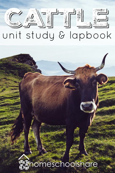 Cow Unit Study, Animal Unit Study, Homeschool Essentials, Homeschool Elementary Science, Homeschool Science Lessons, Homeschool Units, Ffa Ideas, Ag Science, Joy School