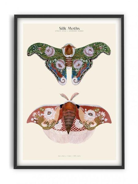 Amber Bedroom, Top Bedroom Ideas, Silk Moths, White Kitchen Accessories, Bathroom Mood Board, Art For House, Moth Art, Vintage Words, Richest In The World