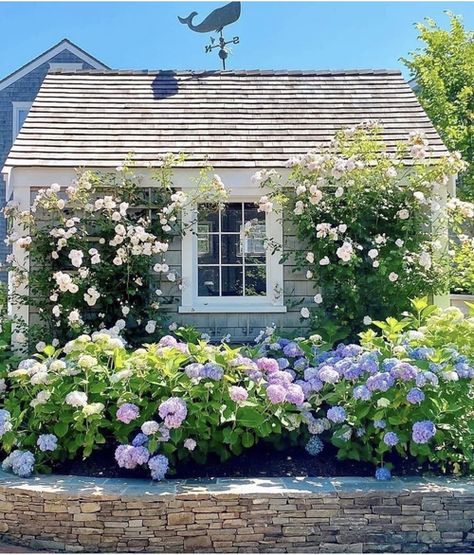 Have Inspiration, Garden Cottage, Country Gardening, English Garden, Front Garden, Small Garden, Dream Garden, Yard Landscaping, Garden Planning