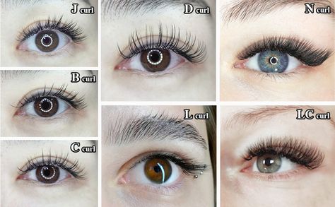 Eyelash Extensions Individual, Bottom Lash Extensions, Eyelashes Extensions, Eyelash Enhancer, Mink Eyelash Extensions, Eyelash Extension Supplies, Individual Eyelash Extensions, C Curl, Individual Eyelashes