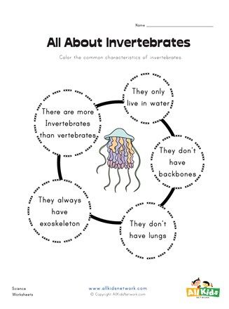 Invertebrates Activities For Kids, 2nd Grade Reading Worksheets, Community Helpers Preschool Activities, Vertebrates And Invertebrates, Earth Science Lessons, Classroom Charts, Animal Worksheets, 2nd Grade Worksheets, Animal Groups