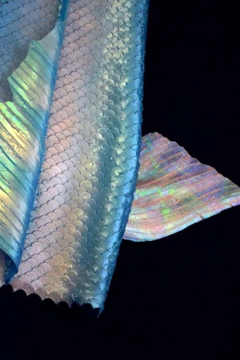 Love this tail coloring! Like aurora borealis! No clue where it came from but it's magical! White Mermaid Tail, Fantasy Cloak, Mermaid School, Realistic Mermaid Tails, Realistic Mermaid, Silicone Mermaid Tails, Iridescent Mermaid, Sea Siren, Mermaid Lagoon