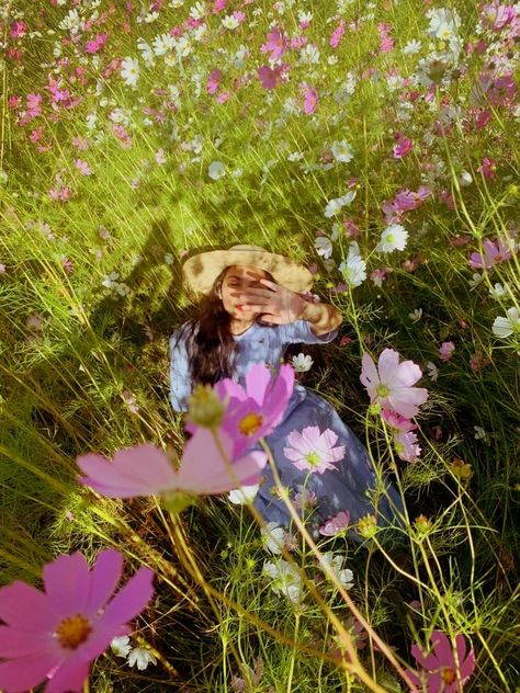 Floral photoshoot in cosmos #aesthetic Field Photoshoot Aesthetic, Cosmos Aesthetic, Cosmo Photoshoot, Floral Photoshoot, Female Photography, Dreamy Aesthetic, Flower Photoshoot, Cosmos Flowers, Farm Girl