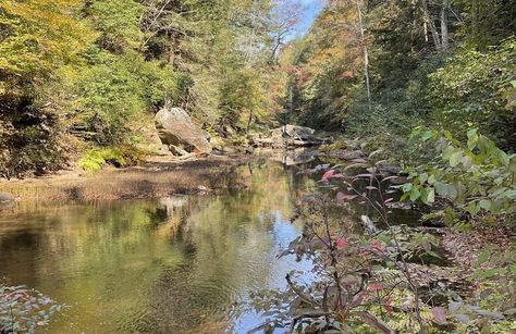 Map of Trails near William B Bankhead National Forest - Alabama | AllTrails Bankhead National Forest Alabama, Talladega National Forest, Walls Of Jericho, Forest Map, Backpacking Trips, Waterfall Trail, Mountain Designs, Nature Preserve, Trail Maps