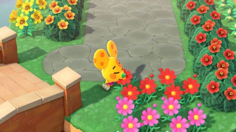 Chadder Animal Crossing, Ac Villager, Animal Crossing Characters, Acnh Ideas, Animal Crossing Villagers, Character Collection, Animal Crossing, Cute Pictures, Flowers