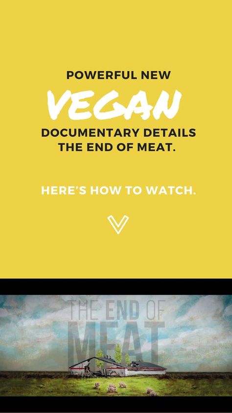 Powerful New Vegan Documentary Details the End of Meat. Here’s How to Watch. Vegan Gluten Free Banana Bread, Vegan Documentaries, Jim Morrison Movie, Animals Rights, Gluten Free Banana Bread, Vegan Ideas, Being Vegan, Why Vegan, Vegan Quotes