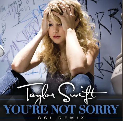 Youre Not Sorry, Taylor Swift Fearless Album, Taylor Swift Country, Fearless Album, Country Pop, Taylor Swift Fearless, All About Taylor Swift, Taylor Swift Hair, Not Sorry