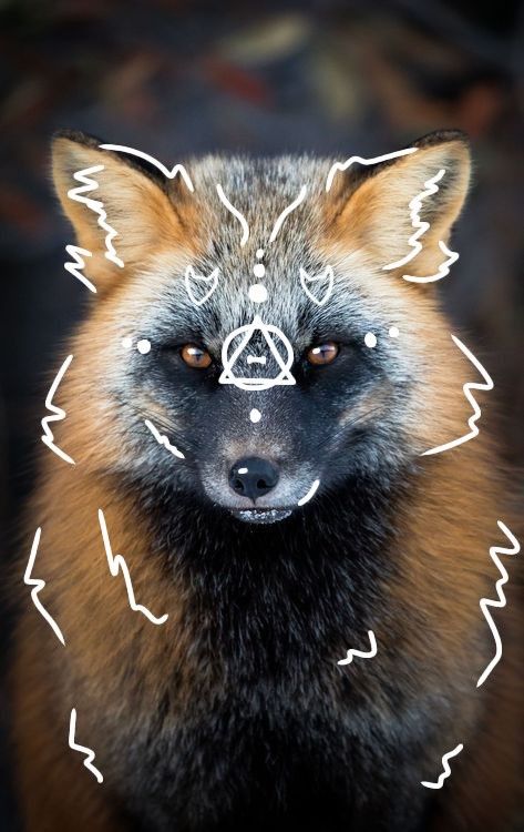 Therian Den, Animals Pfp, Fox Therian Pfp, Fox Therian, Therian Pfp, Cross Fox, Therian Stuff, Mask Ideas, Fox Mask