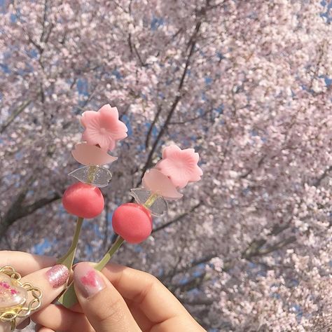 Kpop Food, Japan Aesthetic, Aesthetic Japan, Flower Therapy, Japanese Aesthetic, Rosa Pink, + Core + Aesthetic, Spring Vibes, Pretty Photos