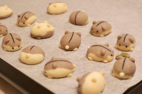 Japanese Bakery, Kreative Snacks, Kawaii Cooking, Cute Baking, Japanese Dessert, Kawaii Food, Cute Cookies, Cute Desserts, Shaped Cookie