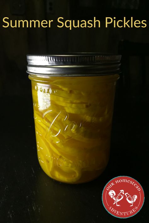 Squash Pickles Canning Recipe, Squash Pickles Canning, Summer Squash Pickles, Squash Jam Recipe, Pickled Squash Canning, Squash Pickles Recipes, Canning Yellow Squash, Pickled Squash Recipe, Pickle Peppers