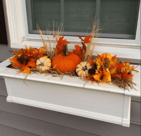 Fall Flower Boxes, Fall Window Boxes, Fall Windows, Fall Containers, Porch Planters, Window Box Flowers, Window Planters, Winter Window, Box Decoration