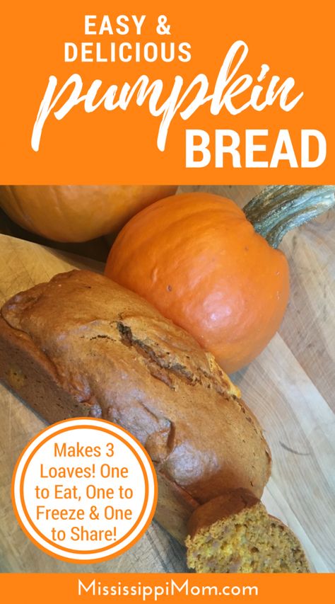 Easy, delicious pumpkin bread recipe | Quick and Easy Pumpkin Bread Recipe | Large Batch Pumpkin Bread Recipe Large Batch Pumpkin Bread, 9x5 Pumpkin Bread, Small Batch Cinnamon Swirl Pumpkin Bread, Homemade Pumpkin Bread With Real Pumpkin, Pumpkin Guts Recipe Bread, Pumpkin Bread Easy, Pumpkin Recipes Healthy, Pumpkin Bread Recipe, Healthy Pumpkin